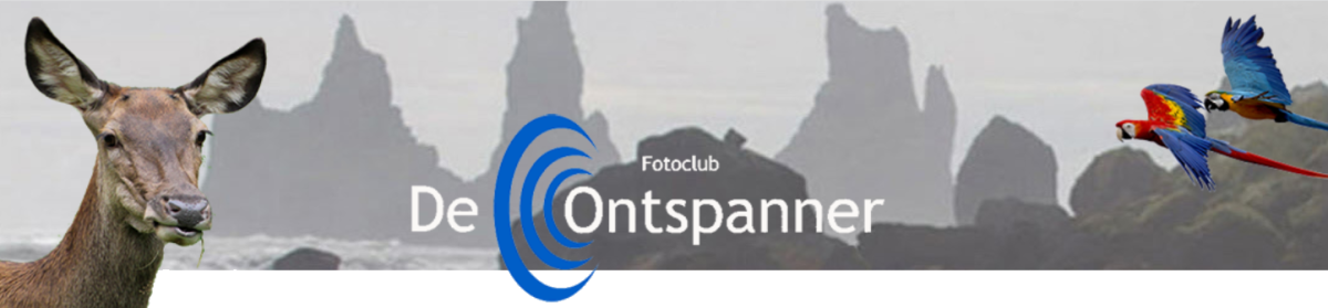 Fotoclub De Ontspanner
